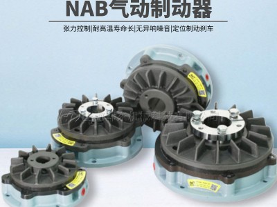 可連續(xù)打滑通軸摩擦制動器NAB-10圖3